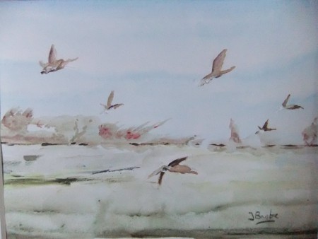In vogelvlucht,  2013, aquarel