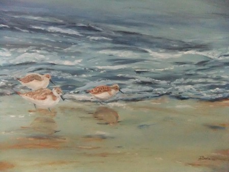 drieeteenstrandlopers, olieverf,juli 2017,Verkocht