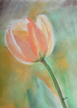 Tulp met pastelpotlood en panpastel , 2026