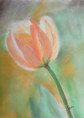 /album/fotogalerij-2013/img-20260504-184741439-2-jpg/